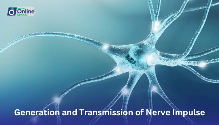 Lesson 09: Generation and Transmission of Nerve Impulse